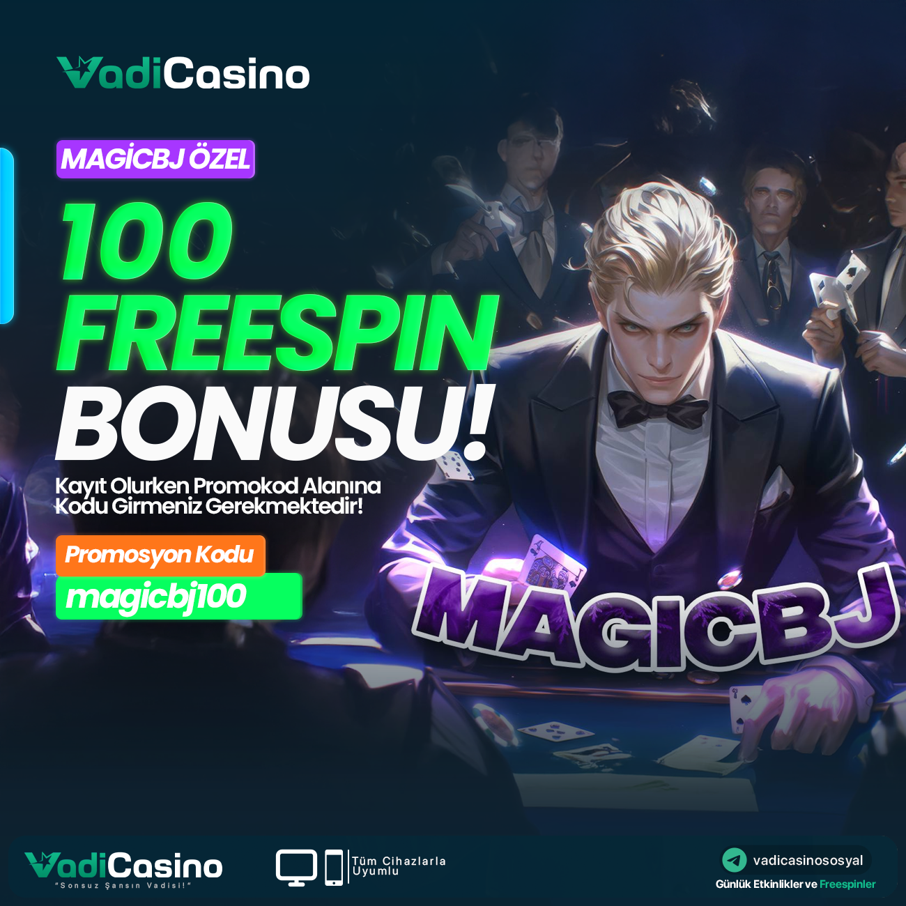 VadiCasino
